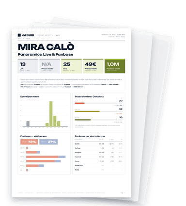 Esempio Report Artista Base